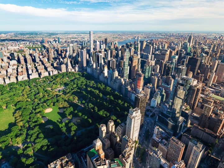 Un tocco di magia a Central Park: l’albero che celebra la memoria dei nostri amici pelosi!