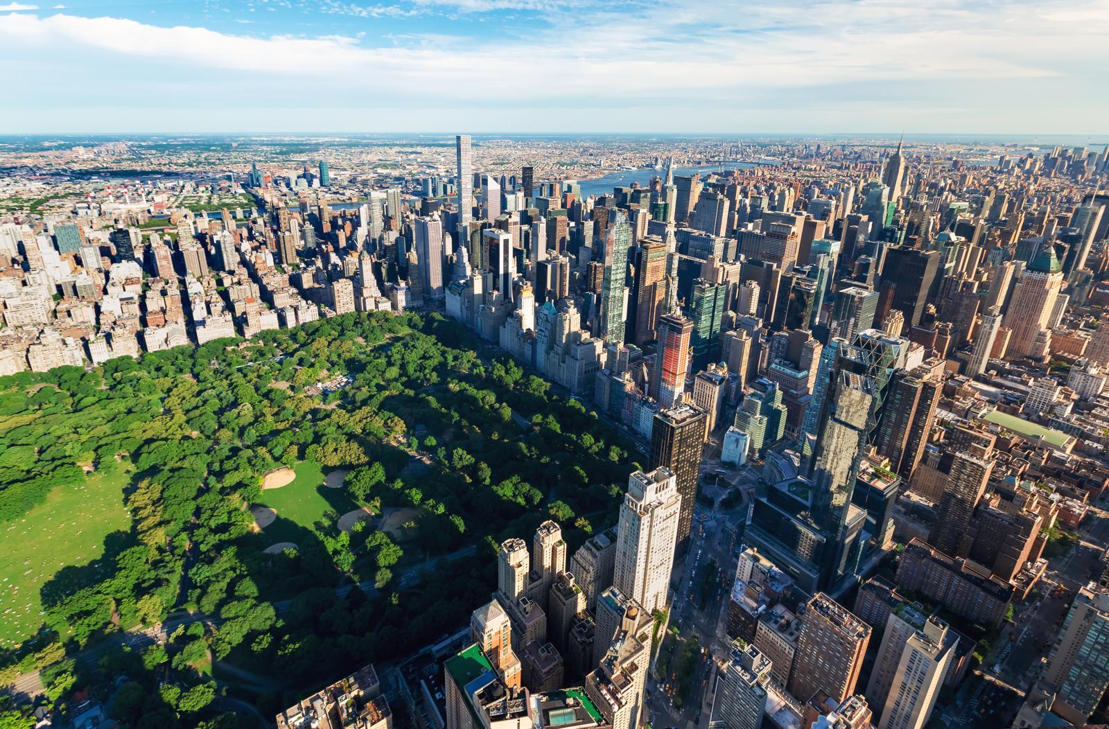 Un tocco di magia a Central Park: l’albero che celebra la memoria dei nostri amici pelosi!