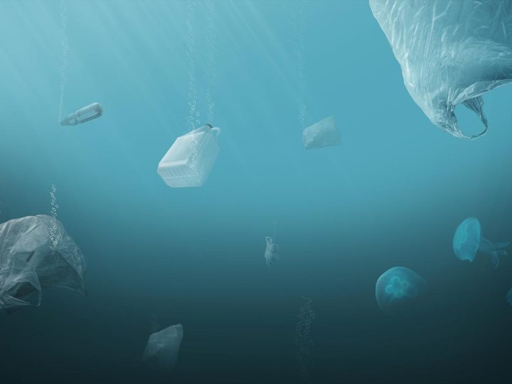 La battaglia per le spiagge della Galizia: cittadini in lotta contro un mare di plastica