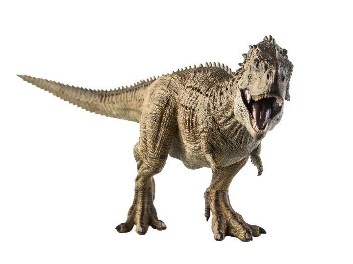Svelato il segreto del Nanotyrannus: il tirannosauro che nessuno si aspettava