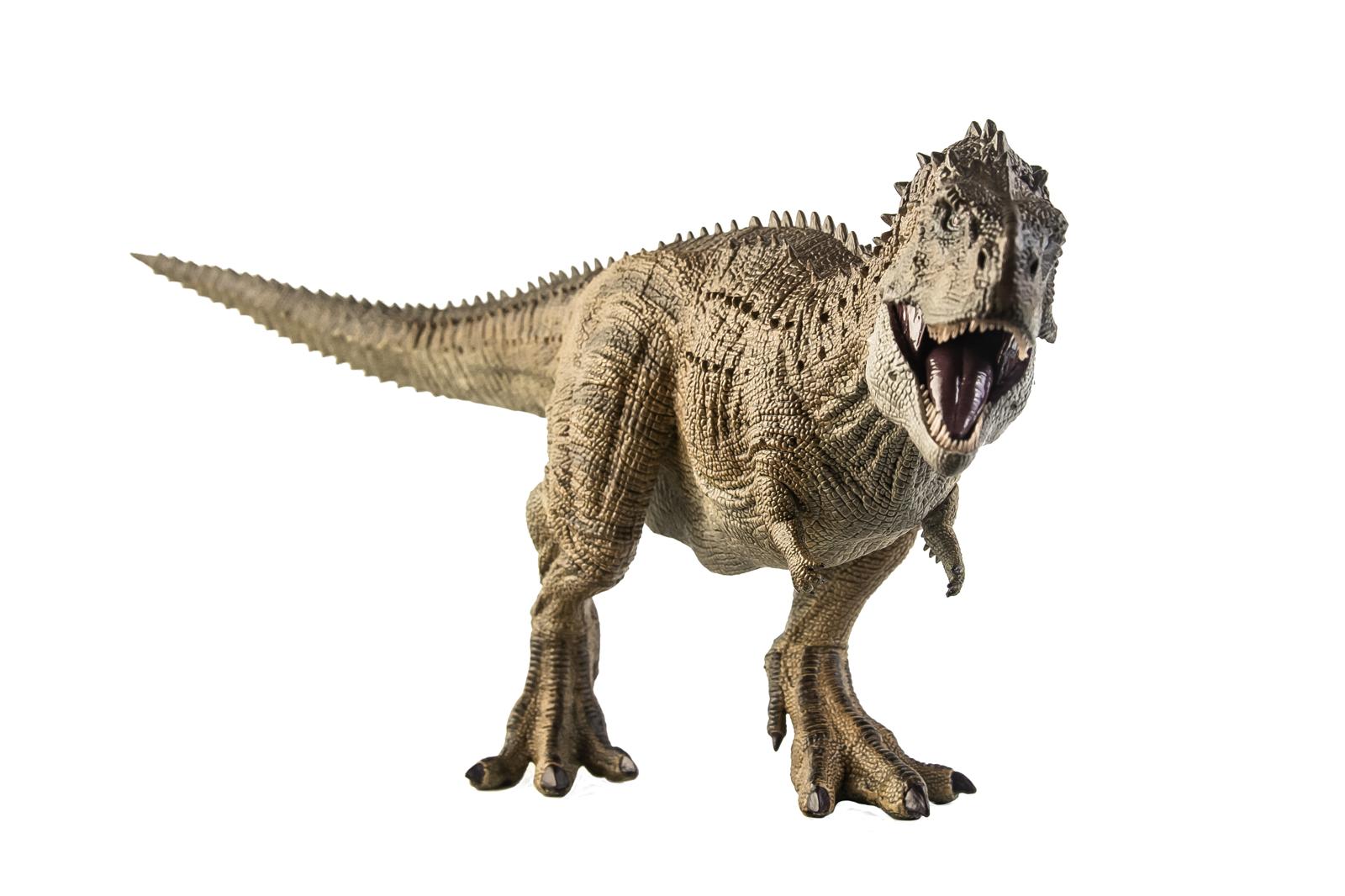 Svelato il segreto del Nanotyrannus: il tirannosauro che nessuno si aspettava