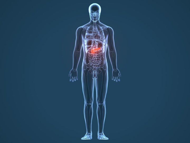 Incredibile innovazione: mini pancreas potrebbero essere la chiave per curare il cancro!