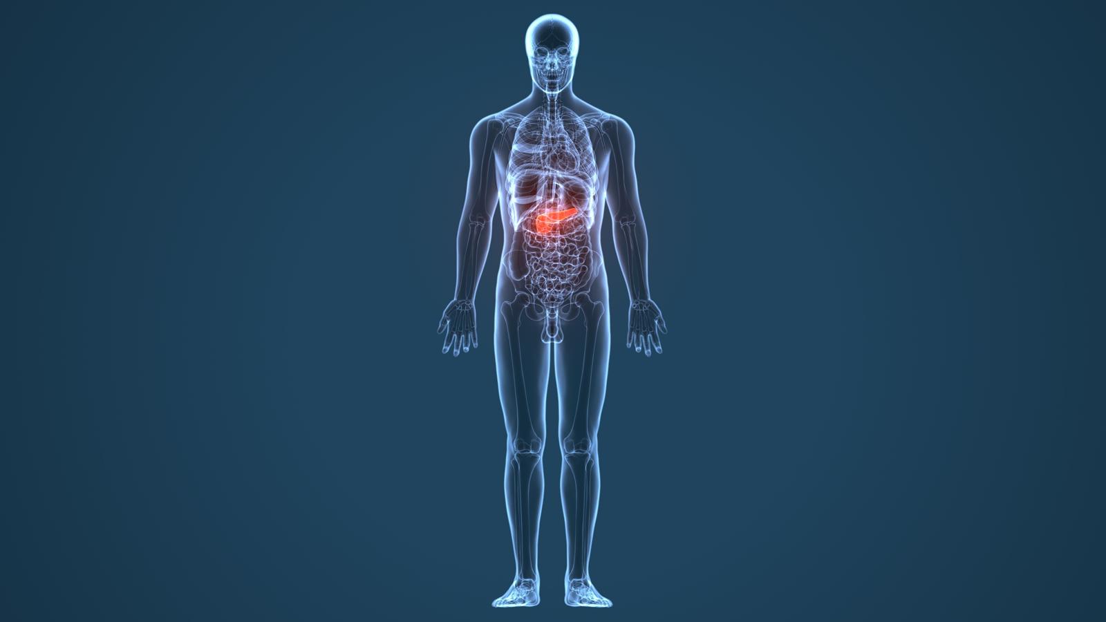 Incredibile innovazione: mini pancreas potrebbero essere la chiave per curare il cancro!