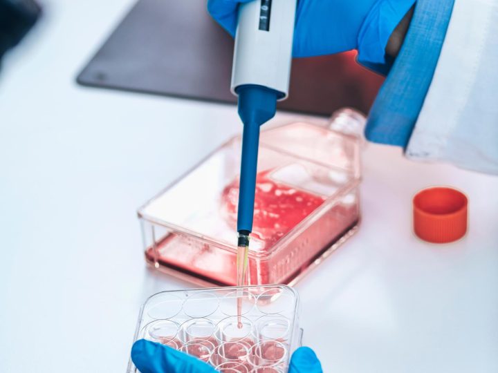 Futuro alimentare in pausa: l’inaspettato stop alla carne coltivata