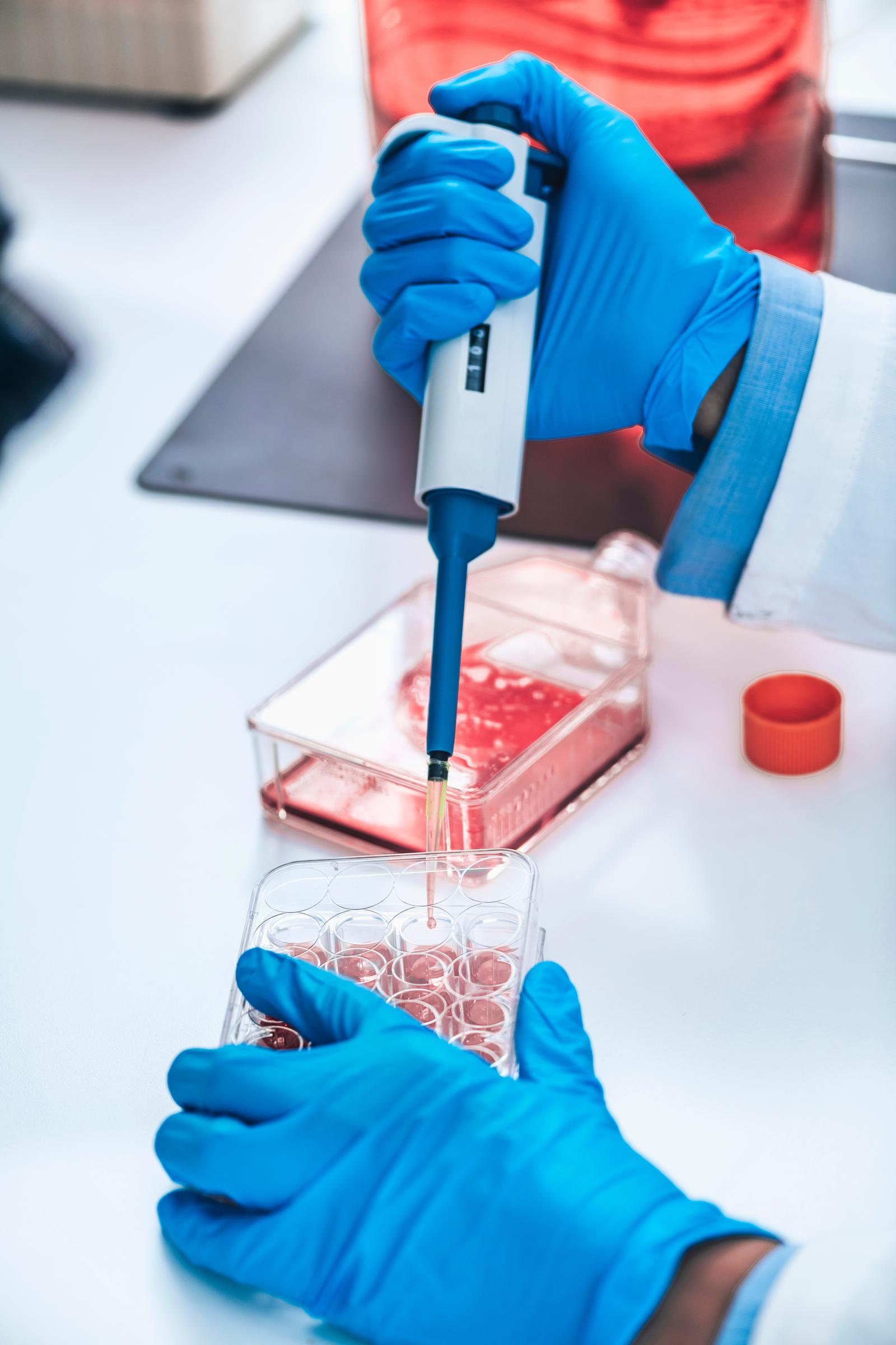 Futuro alimentare in pausa: l’inaspettato stop alla carne coltivata