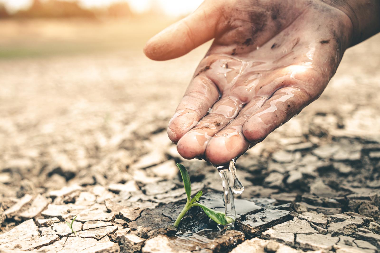Inquietante verità: Città del Messico al limite per la mancanza d’acqua!