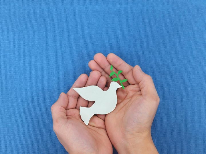 Conflitto a Gaza: la verità inaspettata su Hamas e le richieste di cessate il fuoco per la pace